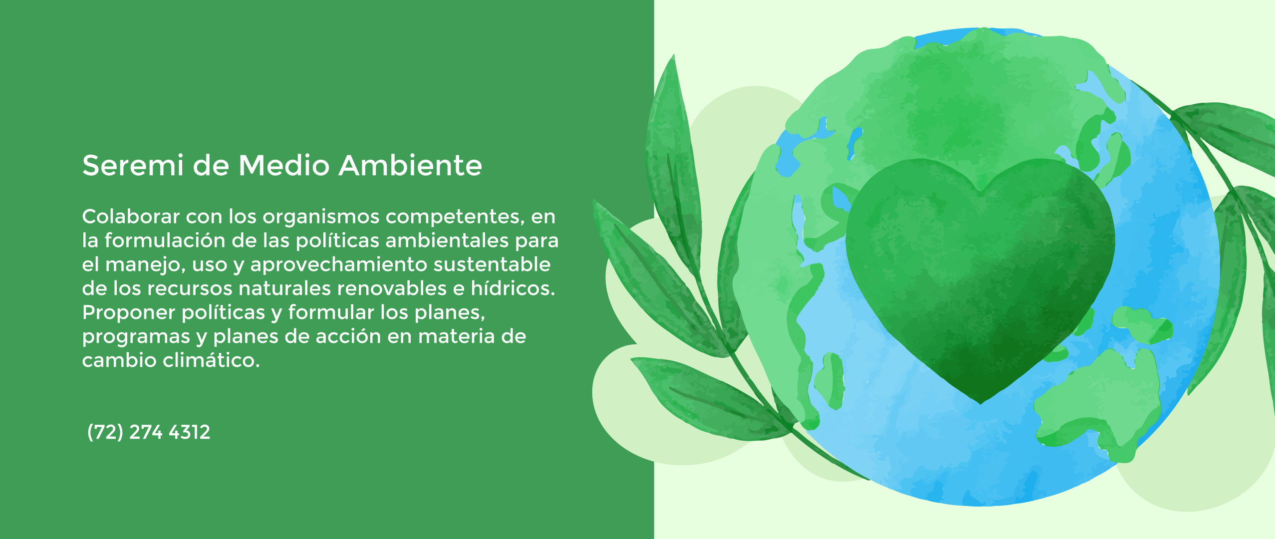 Acción Ambiental 2