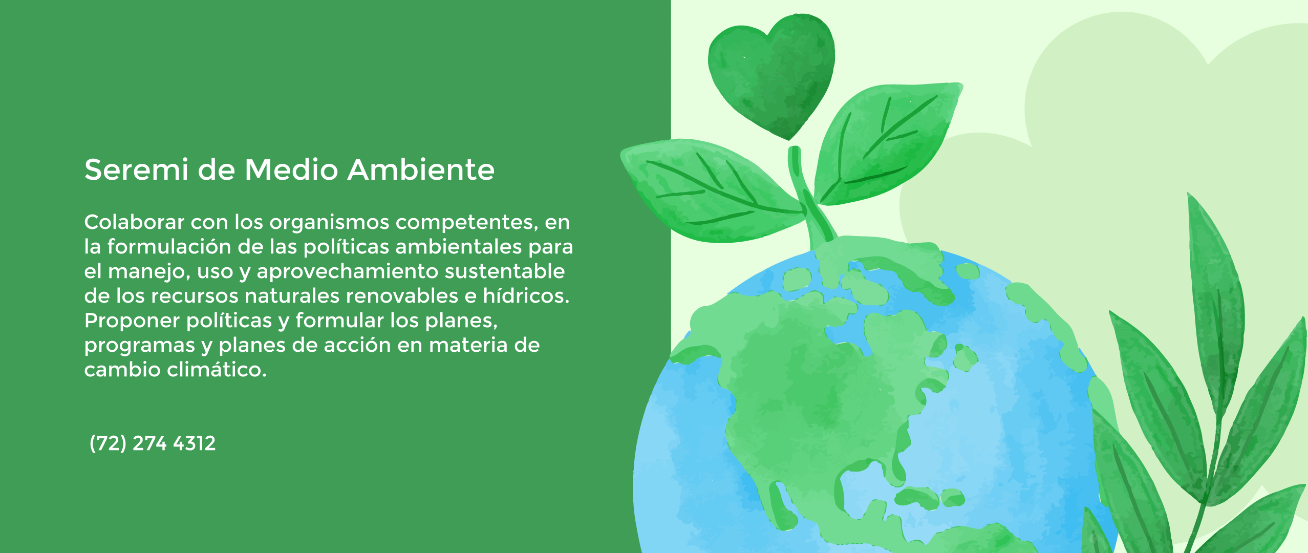 Acción Ambiental 4