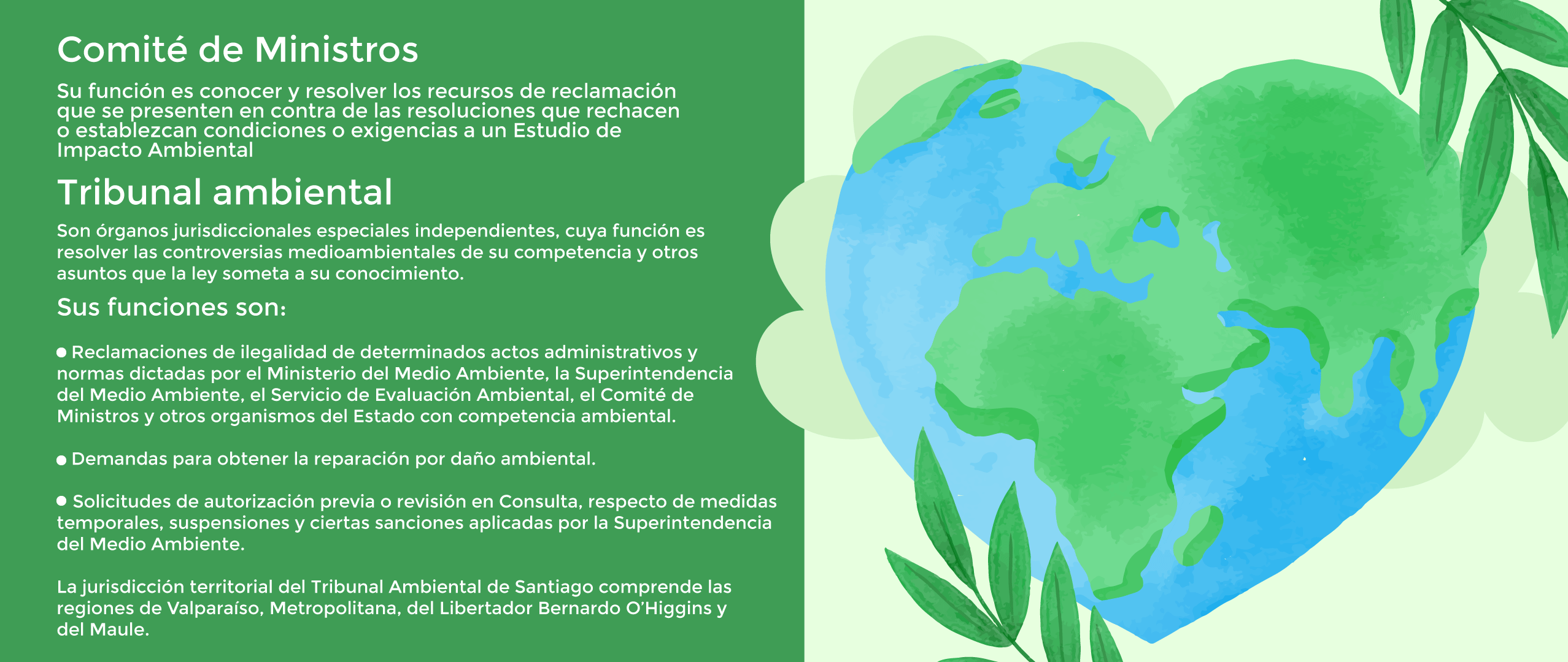 Acción Ambiental 6